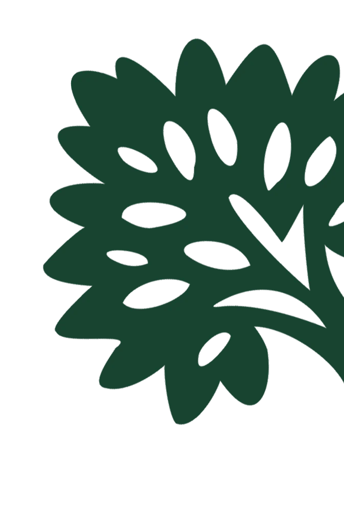 Stylized Tree Illustration A stylized illustration of a tree with rounded leaves and a trunk, depicted in a dark green color on a transparent background.
