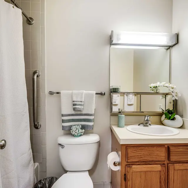 A clean and simple bathroom featuring a toilet, sink, and a shower with a curtain. The sink area has a mirror, a small plant, and decorative items atop the counter. The decor includes towels and an orchid plant.