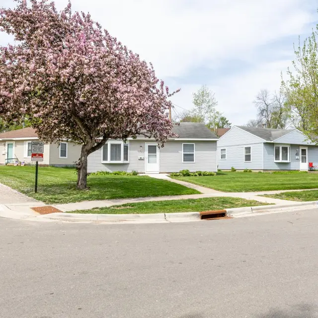 A peaceful neighborhood scene featuring several houses and blooming pink flowering trees.