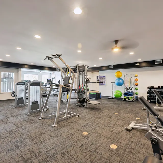 Modern Gym Interior Interior view of a modern gym featuring various fitness equipment including weight machines, exercise balls, and a multi-gym apparatus.