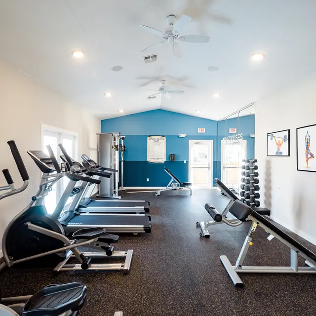 Interior of a gym featuring exercise equipment such as treadmills and elliptical machines, with a blue accent wall and framed artwork.
