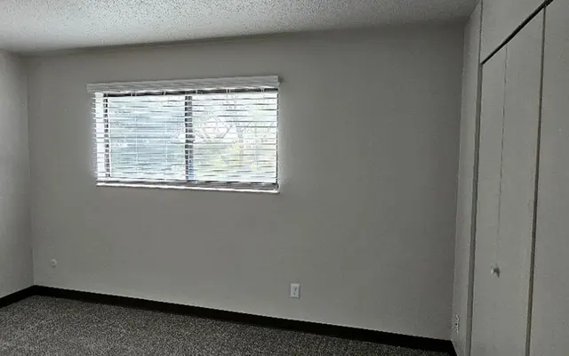 An empty room with a window on the left side and a closet on the right. The walls are light-colored with a textured ceiling. The floor is covered with grey carpet.