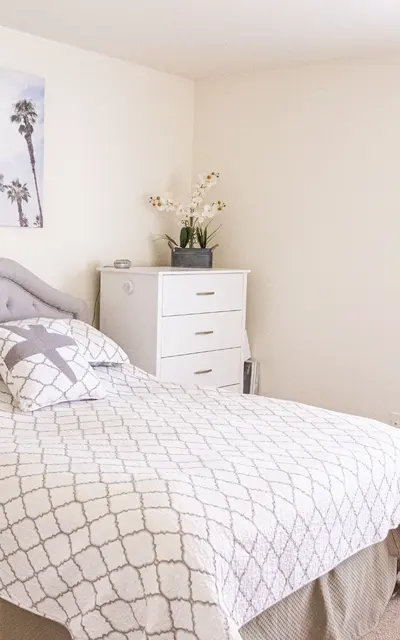 A well-lit bedroom featuring a bed with a light gray headboard and a geometric patterned blanket. A palm tree art print hangs above the bed, and there are two white nightstands on either side. A window with natural light provides a bright atmosphere, and a small potted plant adds a touch of greenery.
