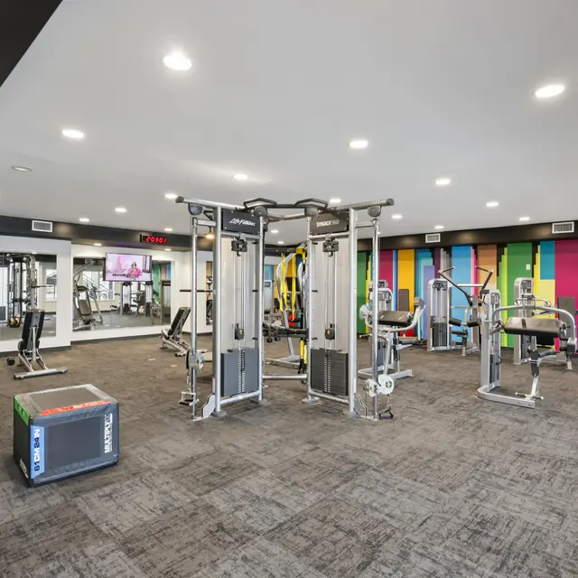 Modern Gym Interior A spacious, well-lit gym featuring various workout machines and equipment in a modern design.