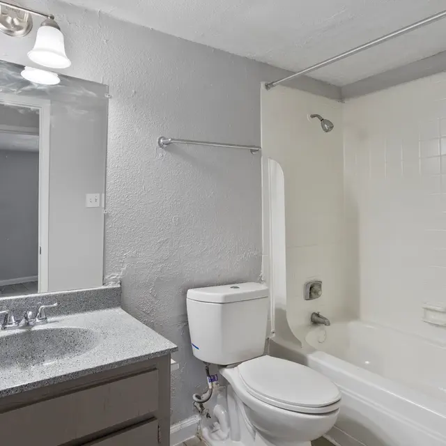 A modern bathroom featuring a bathtub with a shower, a toilet, and a vanity with a basin and a mirror. The walls are painted gray, and the lighting is provided by two wall-mounted lamps above the mirror.