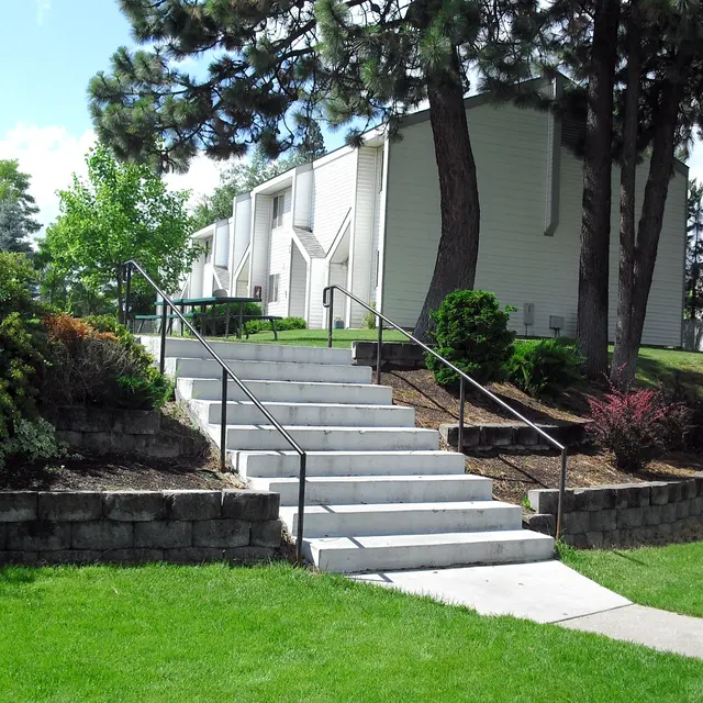 Stairs in a Park A landscaped area featuring a set of concrete stairs that ascend to a grassy area surrounded by trees and shrubbery.