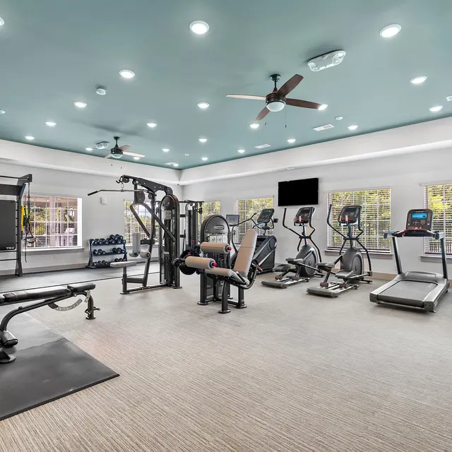 A spacious gym with various exercise equipment including treadmills, elliptical machines, weight benches, and a multi-gym station, illuminated by natural light from large windows.