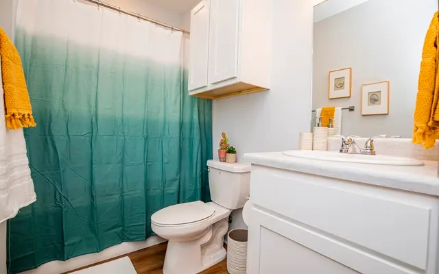 A well-decorated bathroom featuring a green ombre shower curtain, white cabinetry, a toilet, and a sink with decorative items.