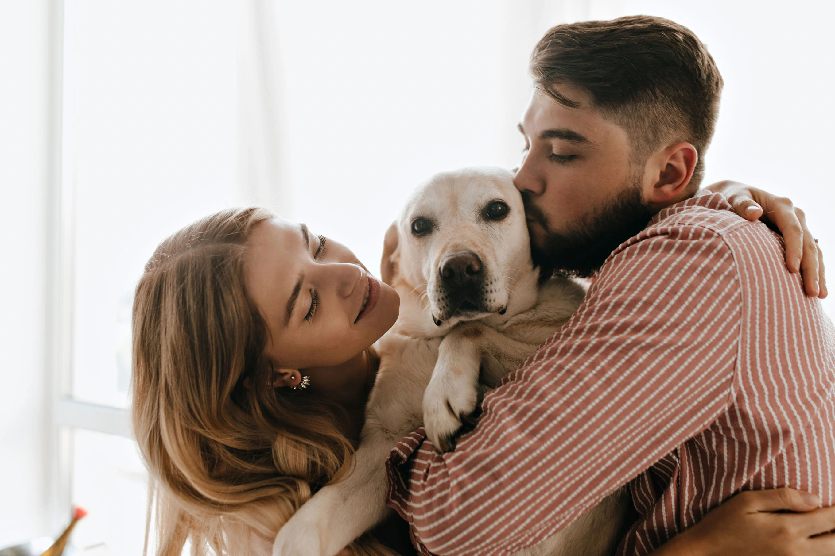 A couple sitting together, with the man kissing the dog and the woman looking at them lovingly. The dog, a Labrador Retriever, is being held in the man's arms. They are in a well-lit room with soft, natural light.