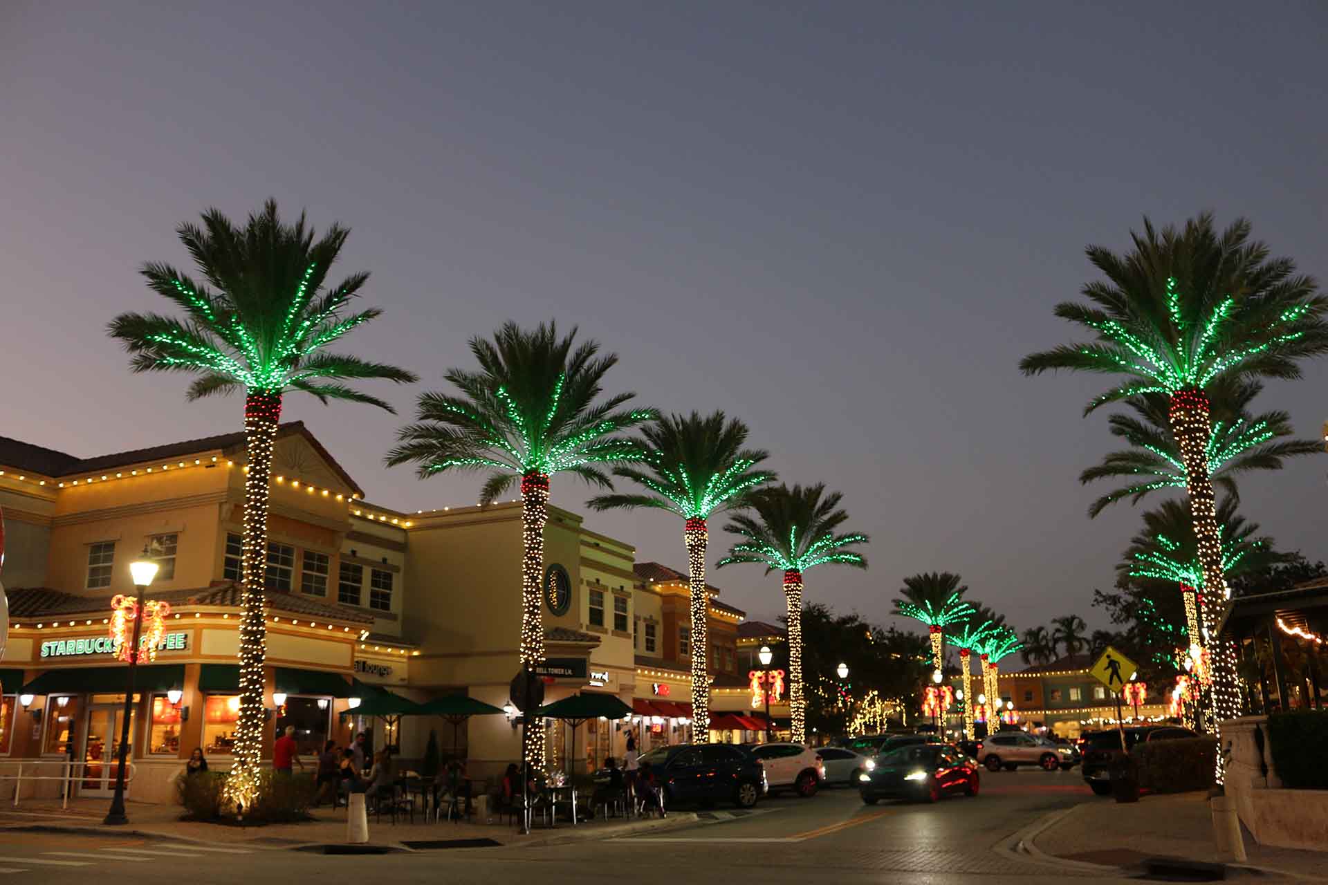 Illuminated Palm Trees by Dusk A street adorned with glowing palm trees and decorative lights during dusk.