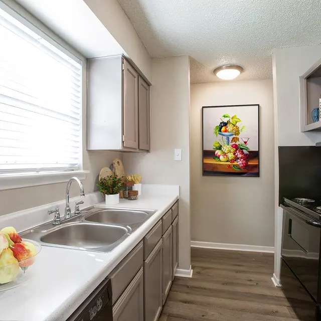 Kitchen with Dual Sink at The Villas at Quail Creek Apartment Homes in Austin Texas 2024.jpg