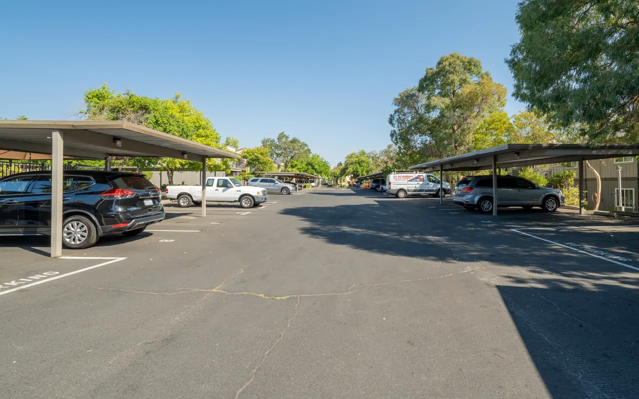 A view of an open parking lot with multiple covered parking spaces, trees in the background, and a clear blue sky.