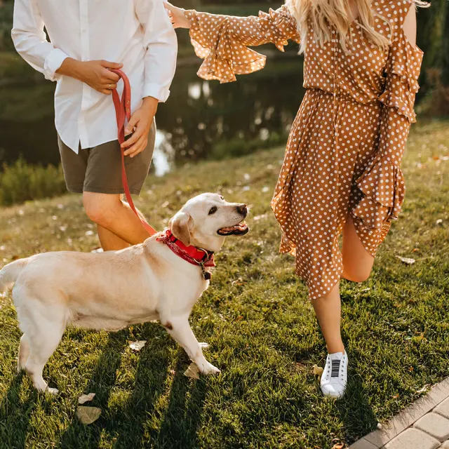 A couple walking a dog in a park, with one person holding a leash and the other wearing a spotted dress.