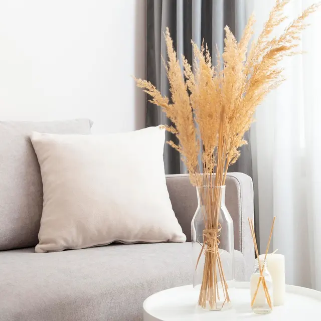 A cozy living room corner featuring a light gray sofa with a soft beige cushion, a white round table with decorative items, and a tall glass vase filled with dried pampas grass. Soft gray curtains drape in the background, allowing natural light to brighten the space.