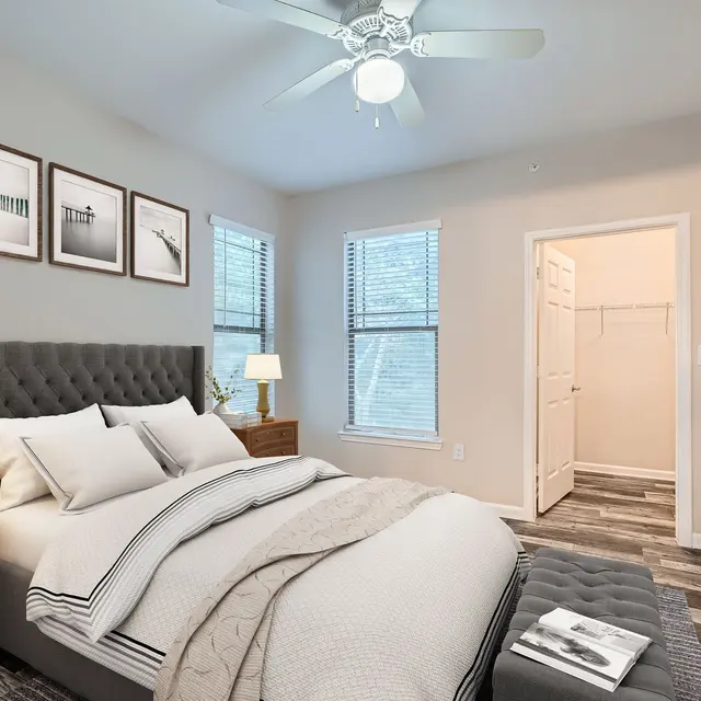 A stylish modern bedroom with a large bed, decorative pillows, a nightstand with a lamp, and framed pictures on the wall. There are two windows allowing natural light in, and a closet door is visible in the background. A potted plant adds a touch of greenery to the space.