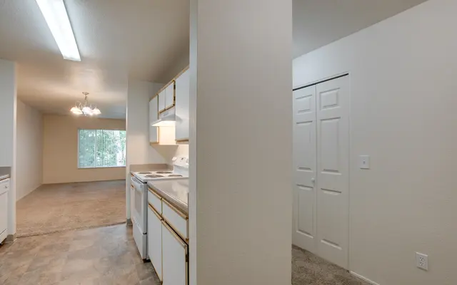 A well-lit kitchen area with white cabinets, a stove, and a glimpse into a living room with large windows. There's a closet on the right with sliding doors and a carpeted area in view.