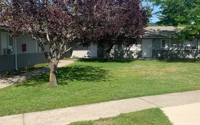 Scenic Neighborhood View A view of a grassy area with a purple-leaved tree and several other trees in the background, along with a white building.