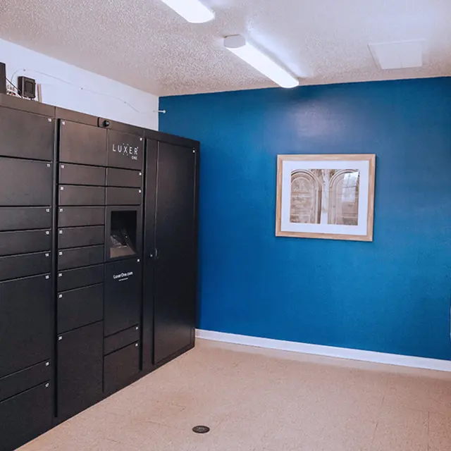 A room featuring a black parcel locker system against a blue wall, with a framed picture beside a window.