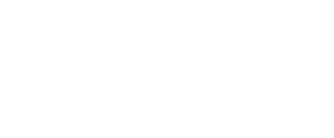 Logo with the words 'Aspen Village' accompanied by three stylized leaves above the text.