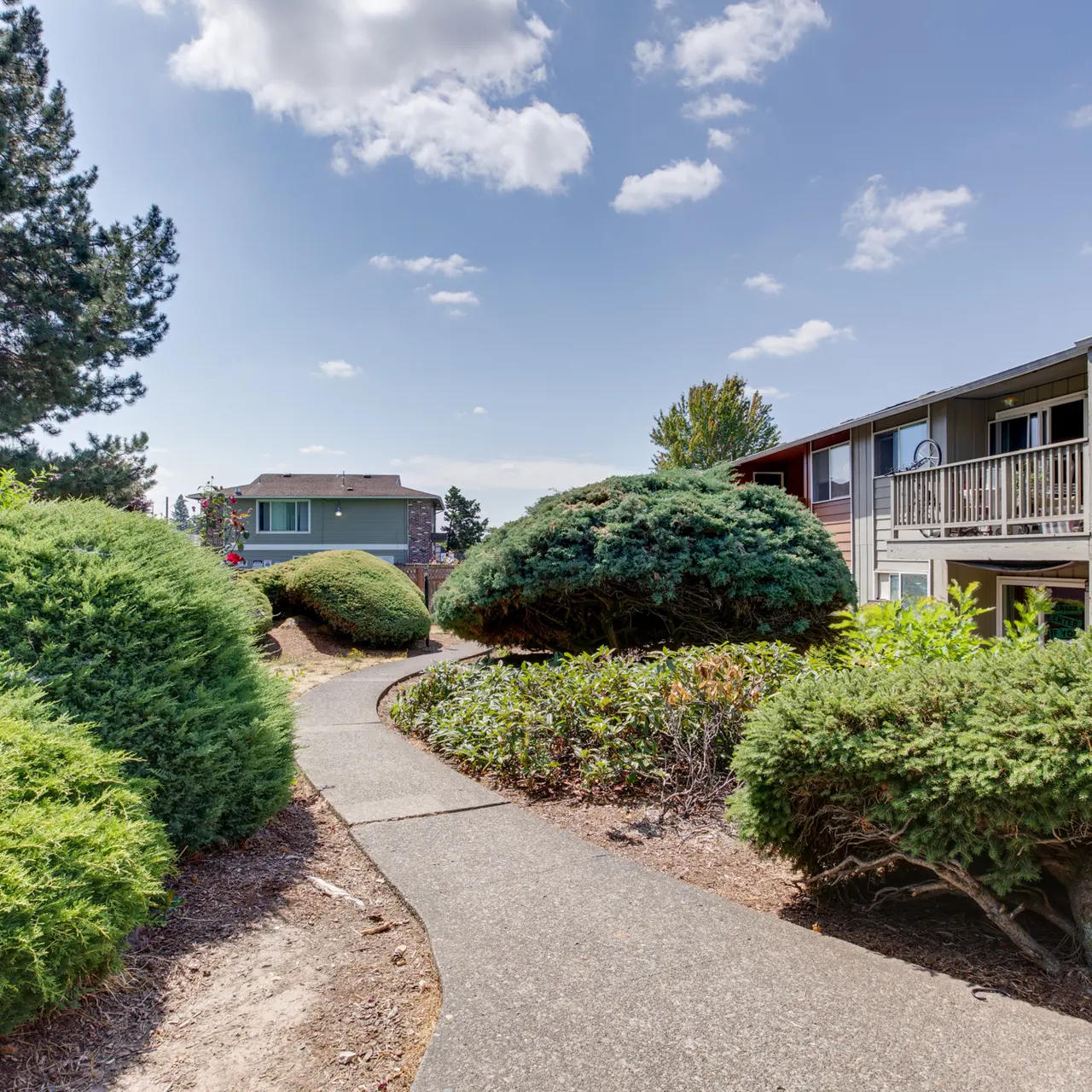 Pathway in a Residential Area A serene pathway winding through manicured foliage in a residential setting.