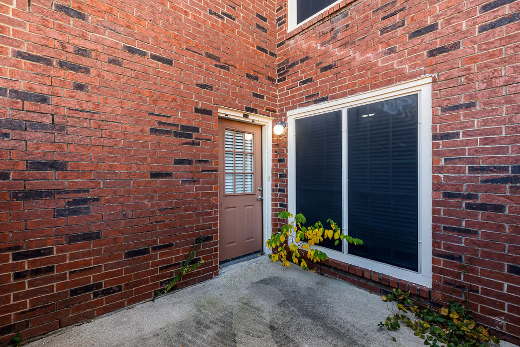 Entrance to a Brick-Walled Area A small entryway featuring a brown door with a window beside it, surrounded by red brick walls and a patch of greenery.