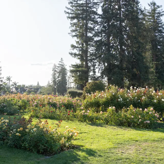 Neighborhood - Alba Santa Clara