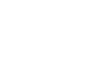Viva Tampa Viva Tampa