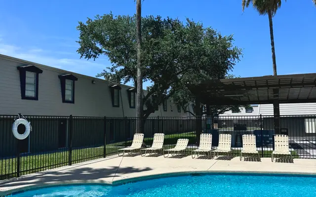 Sunny Swimming Pool with Palm Trees A clear blue swimming pool surrounded by palm trees and lounge chairs, with a building in the background under a bright blue sky.