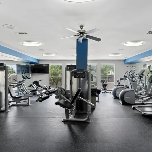 Interior view of a modern gym featuring various exercise machines and equipment.