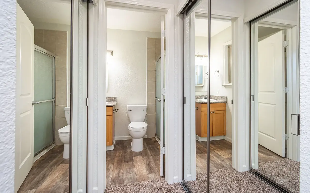 A modern bathroom scene featuring a double door entry with mirrored sliding doors, leading to two distinct bathroom areas. One side shows a shower and toilet, while the other has a vanity and additional toilet. The flooring is a mix of wood and carpet, giving a cozy feel.