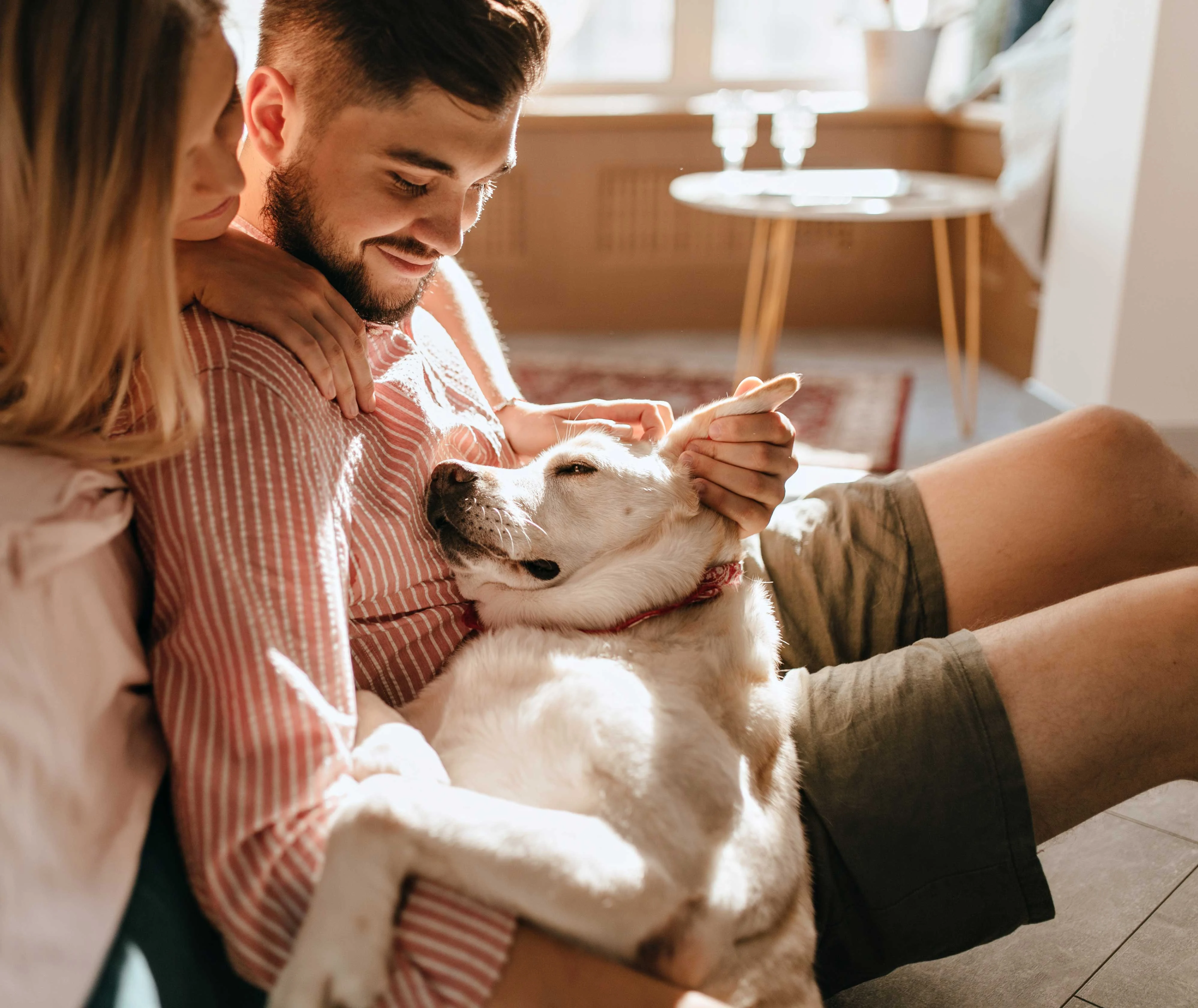 Couple Enjoying Time with Their Dog A couple sitting together on a sofa, smiling as they interact with their relaxed dog. The dog is lying in the man's lap, and the woman is gently holding the man's shoulder, creating a warm and affectionate scene in a cozy living space.