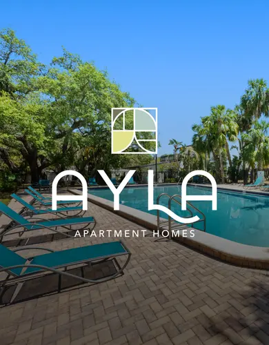 Ayla Apartment Homes Poolside A serene poolside area of Ayla Apartment Homes with lounge chairs and palm trees, under a clear blue sky.