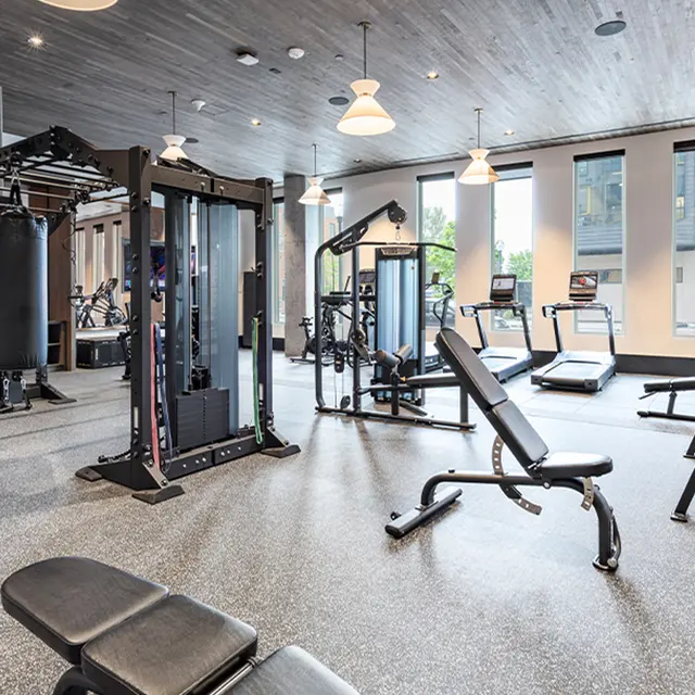 Modern Gym Interior A spacious modern gym featuring various workout equipment including weight machines, cardio machines, and free weights arranged neatly in a bright environment with large windows and stylish lighting.