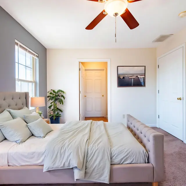 A modern bedroom with a light color scheme, featuring a large bed dressed in soft linens and a decorative throw, a bedside table with a lamp, a green potted plant, and wall art. The walls are painted in a mix of light and dark colors, and there’s a wooden dresser in the corner.
