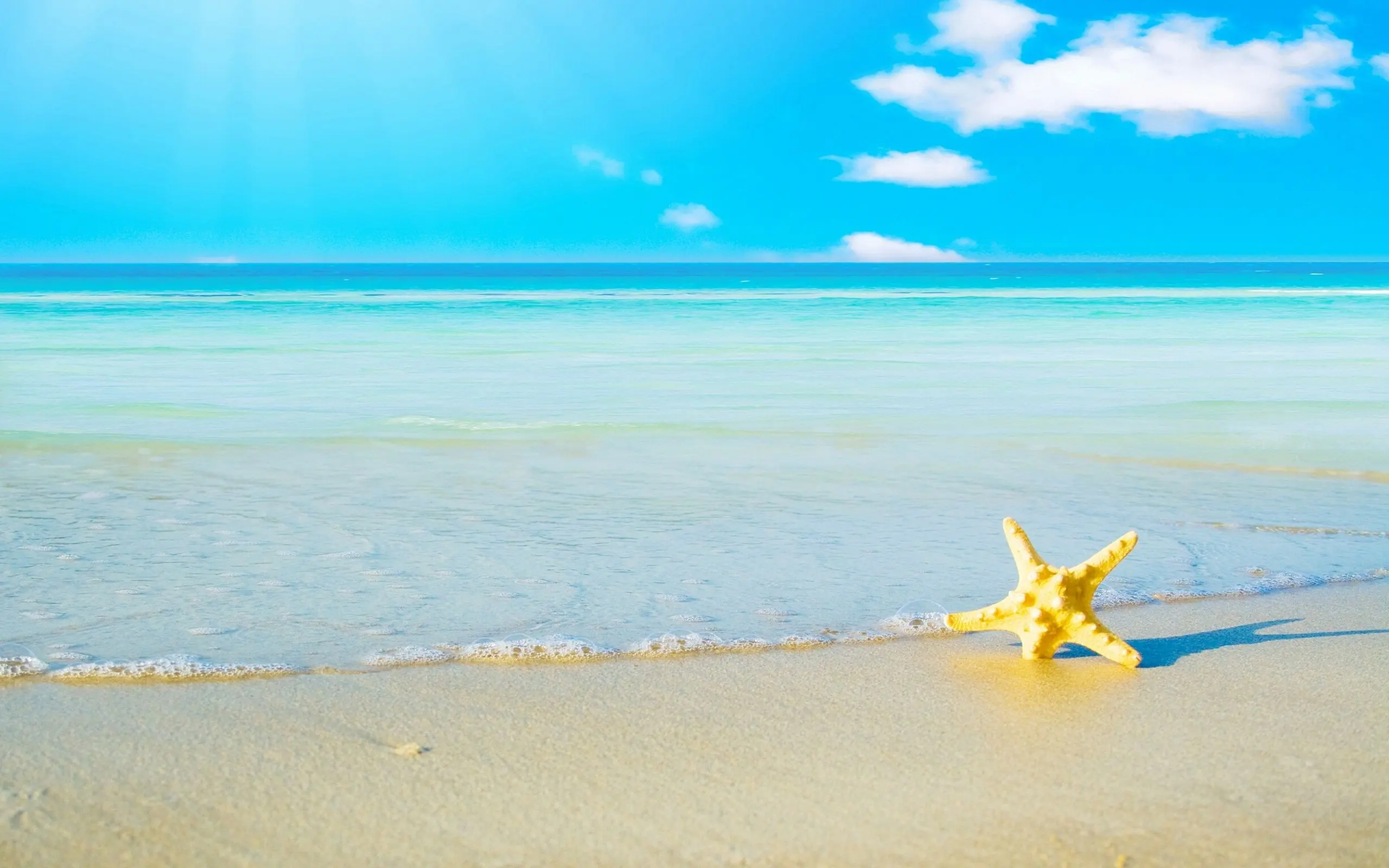 A starfish resting on a sandy beach with a serene blue ocean and sky in the background.