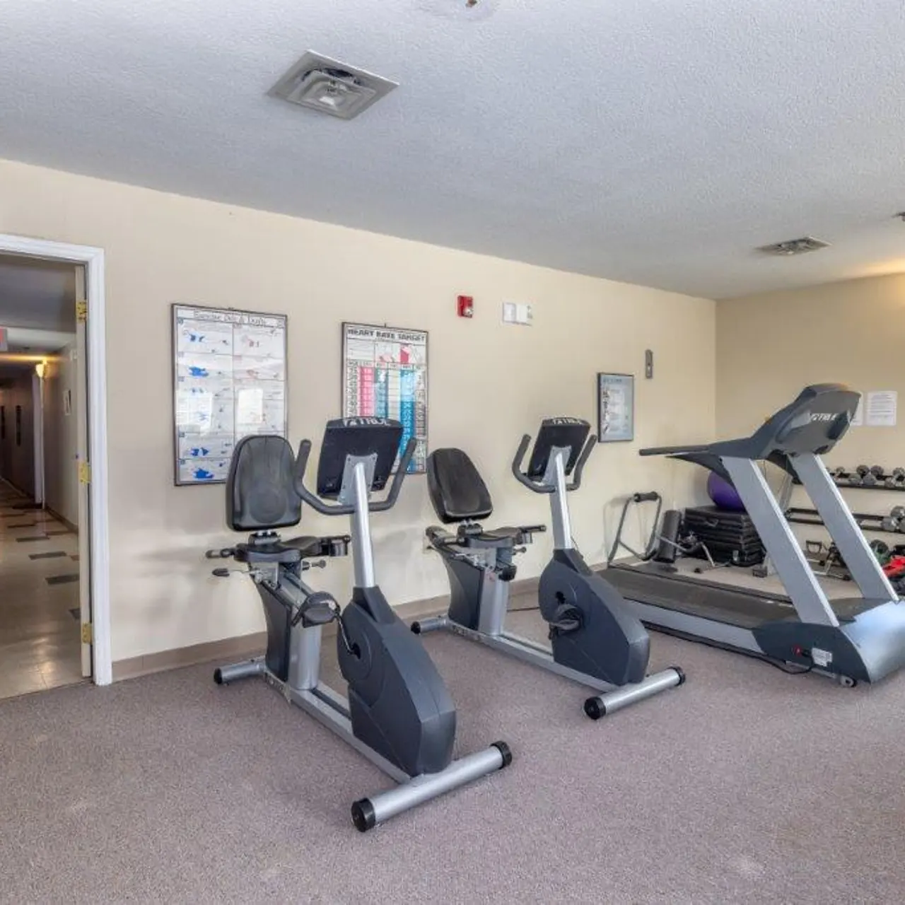 Interior view of a gym with exercise equipment including stationary bikes and a treadmill along with weights in the background, and a corridor visible in the rear