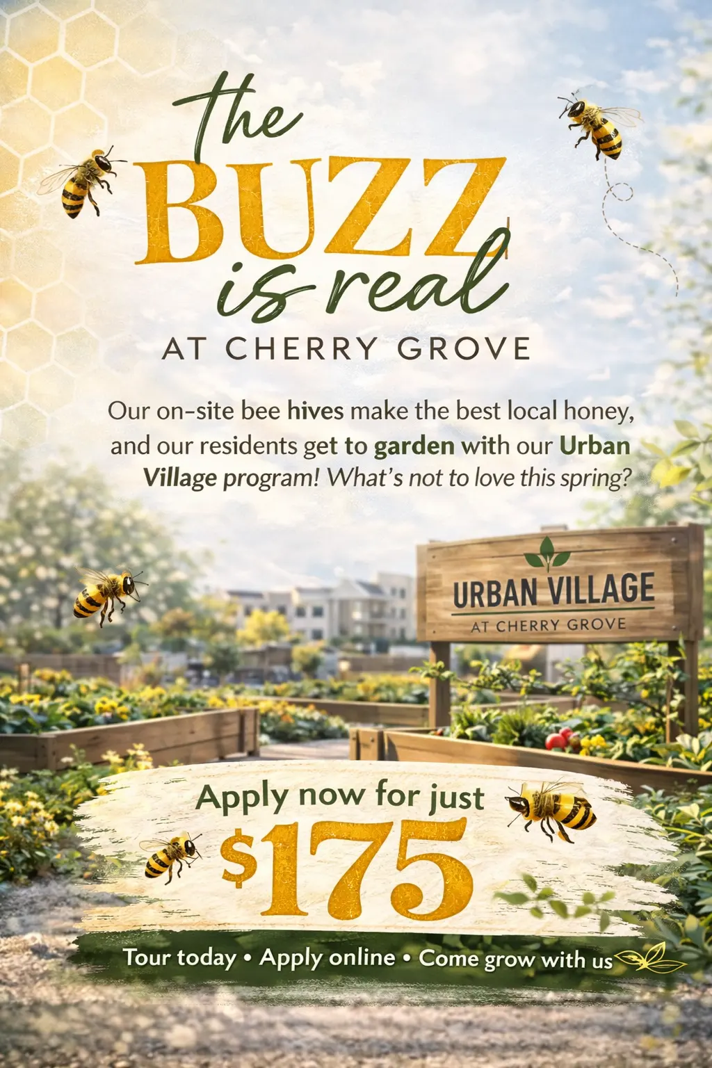 Promotional flyer for Cherry Grove featuring urban gardening and honey production with bees. It includes a call to action to apply for a program.