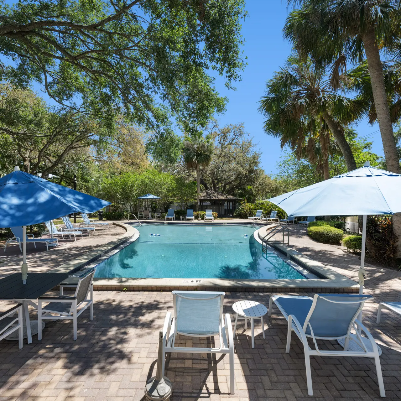 A serene swimming pool area surrounded by palm trees, with blue umbrellas providing shade over white lounge chairs and a clear blue sky overhead.