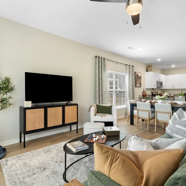 A modern living room featuring a green sofa, a black TV stand, a light-colored area rug, and a small dining area in the background. A tree and decorative vases are present.
