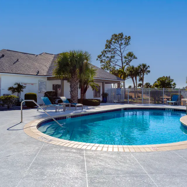 A clear blue swimming pool surrounded by a patio and lounge chairs, with a house and palm trees in the background.
