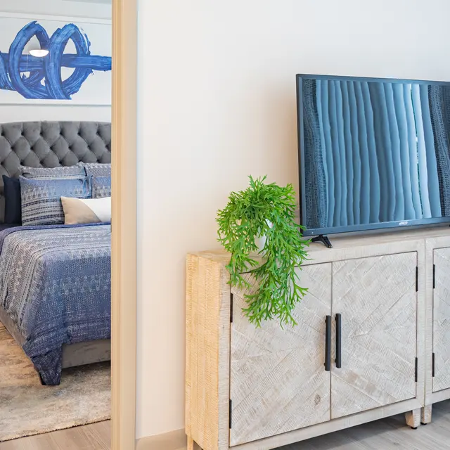 A modern living space featuring an elegantly dressed bed with blue bedding, a television set on a stylish cabinet, and a plant accent. The room displays a sleek design with decorative art on the wall.