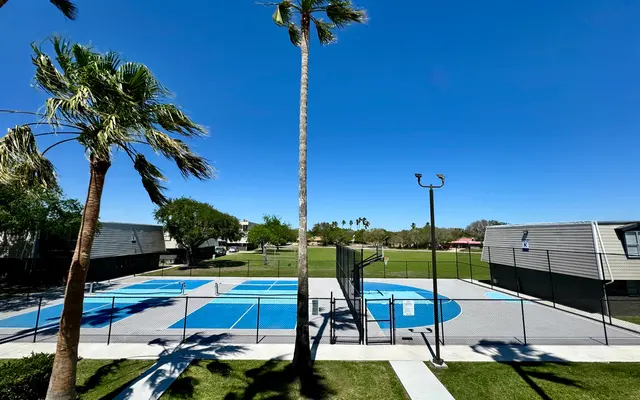 Basketball Court Scene A view of a basketball court with blue and gray markings surrounded by palm trees and green grass under a clear blue sky.