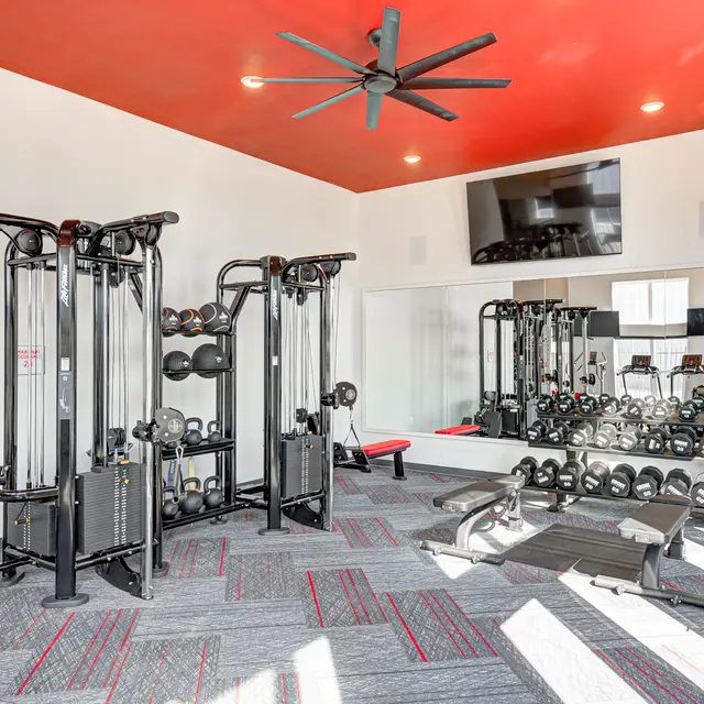 A modern gym interior with various strength training equipment, including cable machines and free weights. The gym features a red ceiling and large mirror, enhancing the spacious feel of the room.