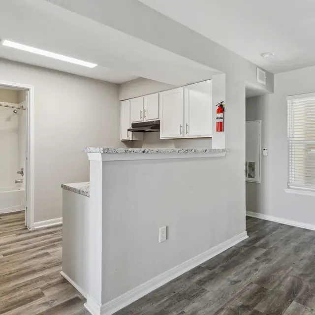 Modern kitchen and living area with gray walls, wood-like flooring, and a bathroom entrance visible in the background.