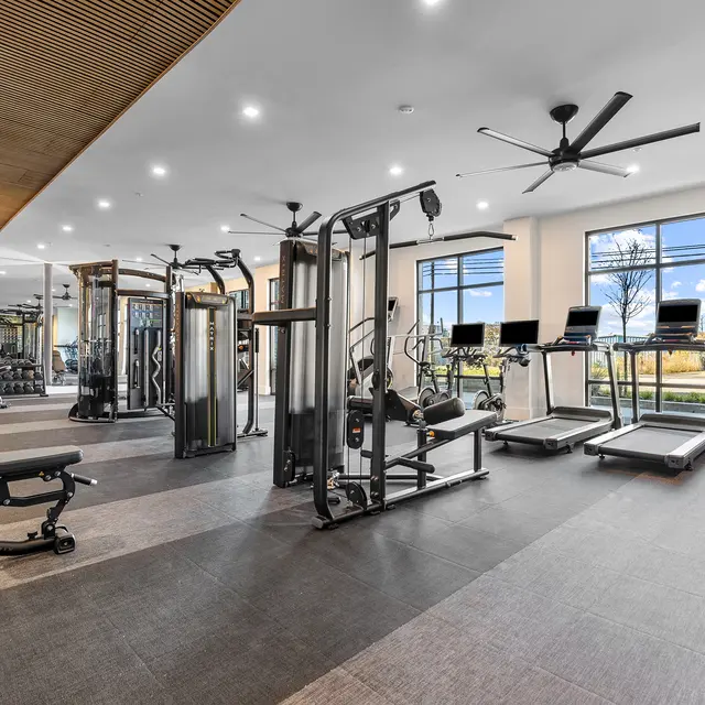 A modern gym interior featuring various gym equipment, including weight machines, treadmills, and exercise benches. Large windows allow plenty of natural light, and the space has a sleek design with a wooden ceiling and ceiling fans.