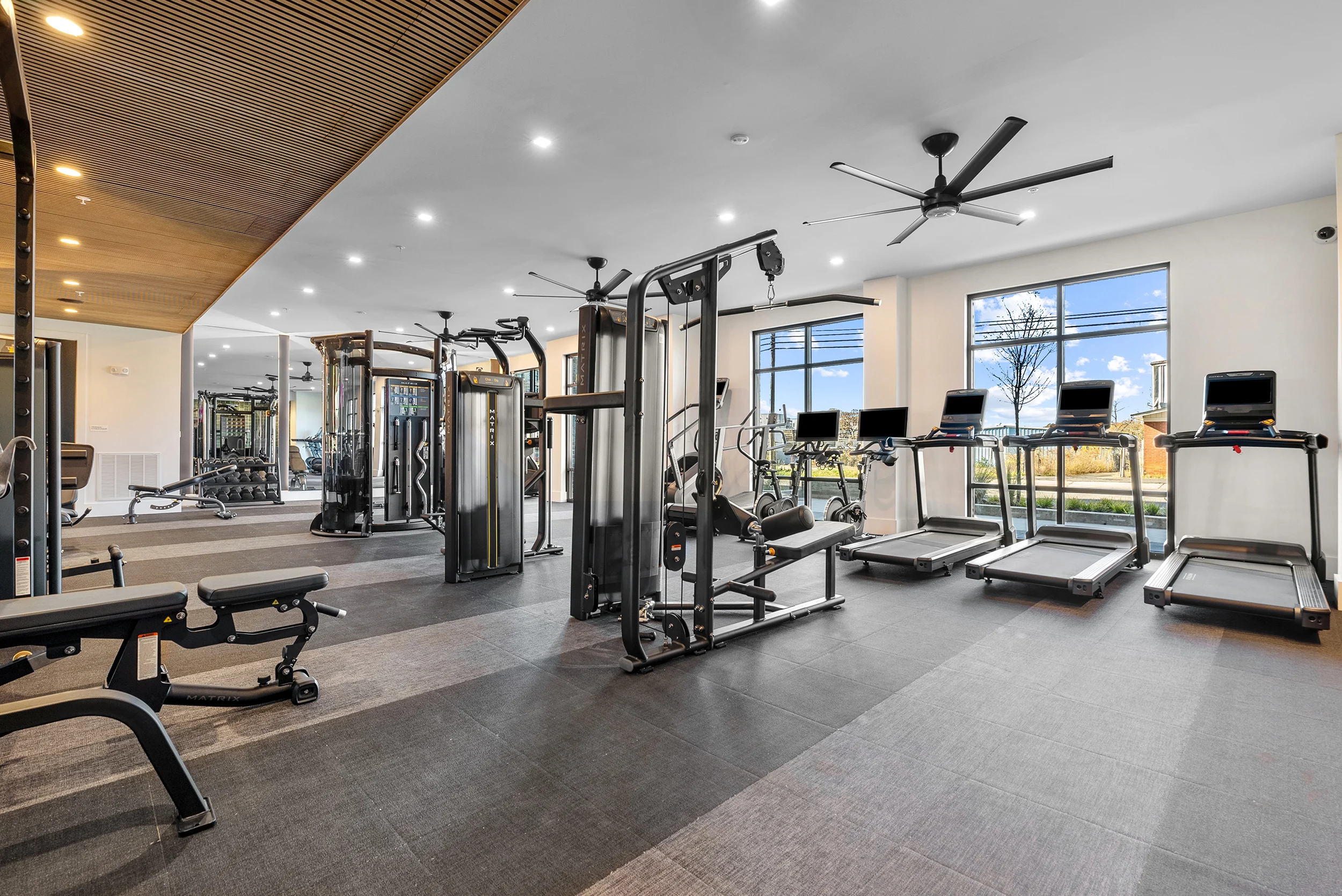 A modern gym interior featuring various gym equipment, including weight machines, treadmills, and exercise benches. Large windows allow plenty of natural light, and the space has a sleek design with a wooden ceiling and ceiling fans.