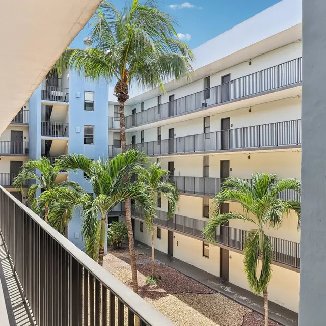 Balcony - Biscayne Apartments View of an apartment complex courtyard from a second-floor balcony featuring palm trees and multiple floors of the building.