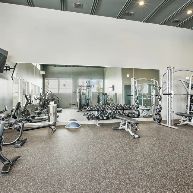 Modern Gym Interior Interior view of a modern gym with various exercise equipment, including free weights and cardio machines, plus large mirrors on the wall.