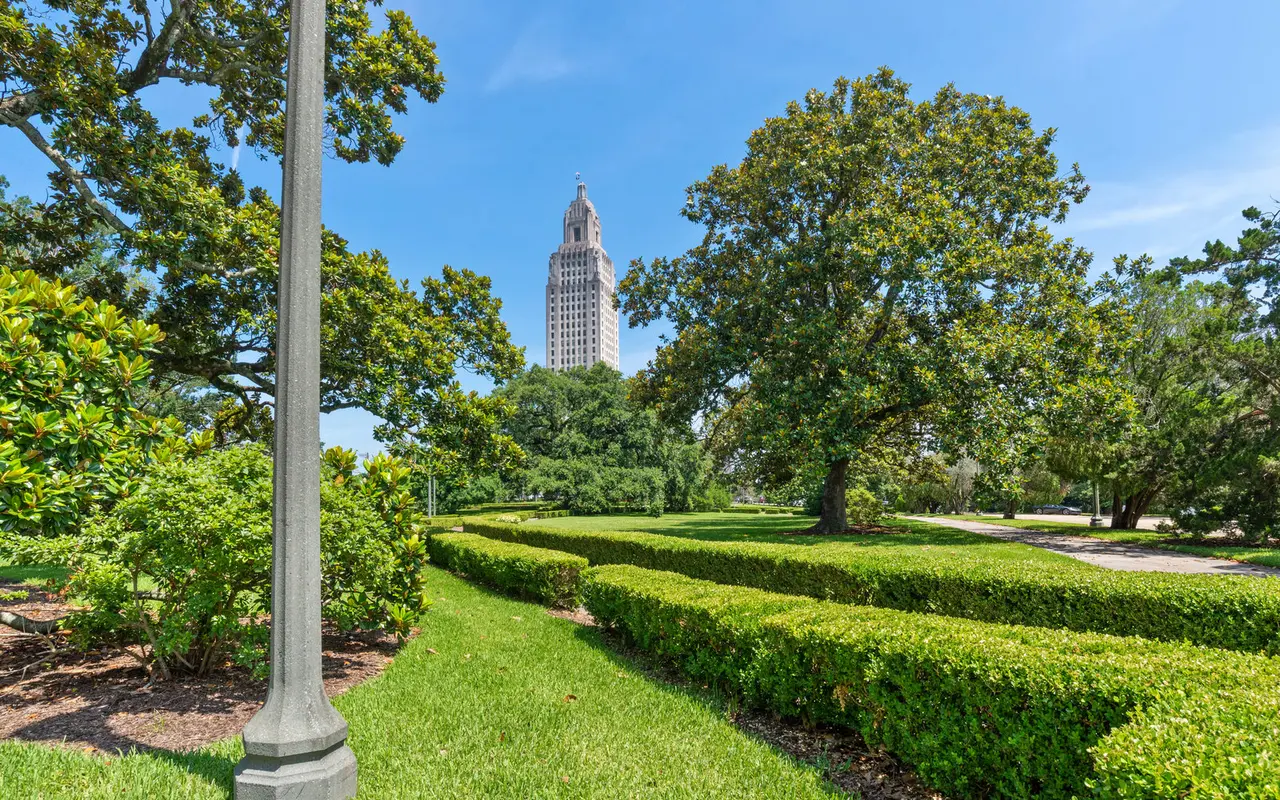 A park scene featuring neatly trimmed hedges, towering trees, and a clear blue sky. In the background, a tall building is visible, partially obscured by foliage.