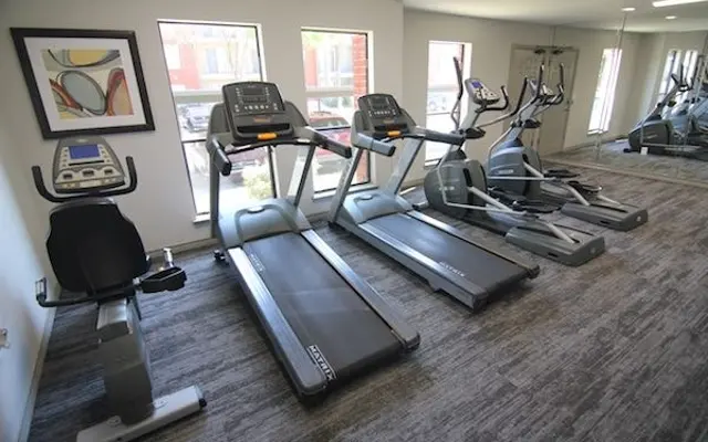 Modern Gym Equipment A fitness area featuring various gym equipment including a treadmill, elliptical machines, and a stationary bike against a well-lit backdrop with windows.